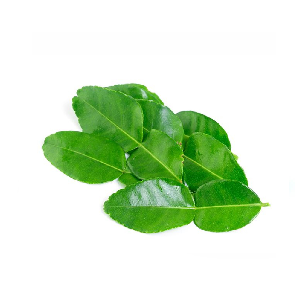 Daun Jeruk